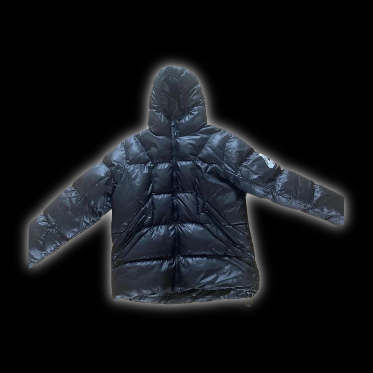 Palace Puffer